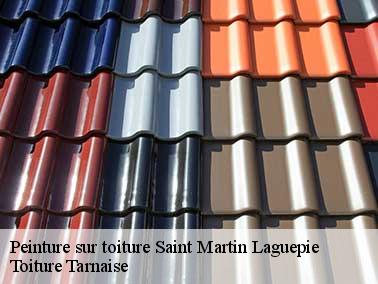 Toiture Tarnaise : un couvreur pour peinture toiture à Saint Martin Laguepie sur qui vous pouvez compter