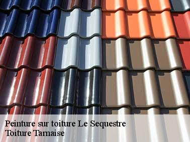 Le choix de votre peinture toiture à Le Sequestre : une étape importante