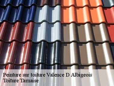 Quel type de peinture appliquer sur votre revêtement de toit ?