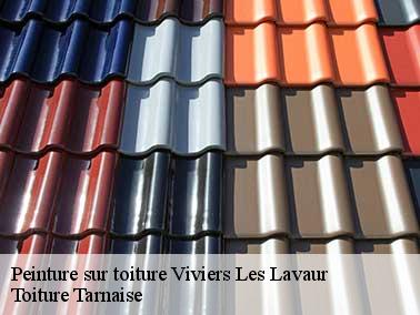 Couvreur pas cher pour peinture toiture à Viviers Les Lavaur 81500